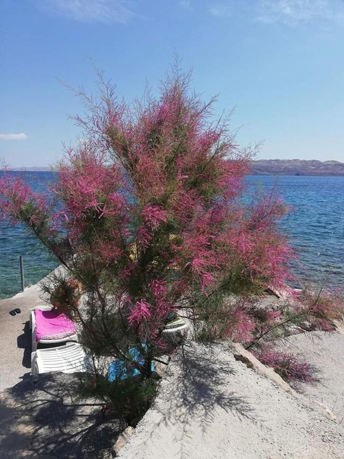 Apartmani Ivankovic Karlobag Exteriér fotografie