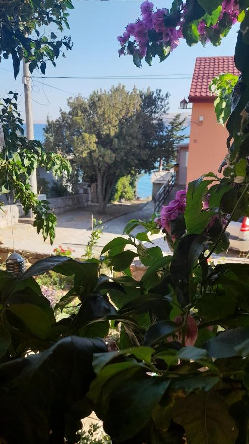 Apartmani Ivankovic Karlobag Pokoj fotografie